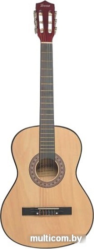 Акустическая гитара Terris TC-3801A NA