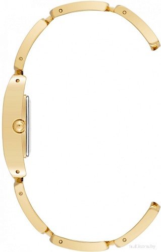 Наручные часы Anne Klein AK/4068GPMV