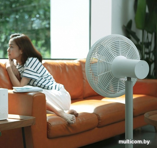 Вентилятор Xiaomi Smartmi Standing Fan 3S