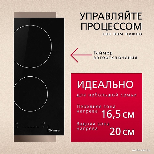 Варочная панель Hansa BHC331047