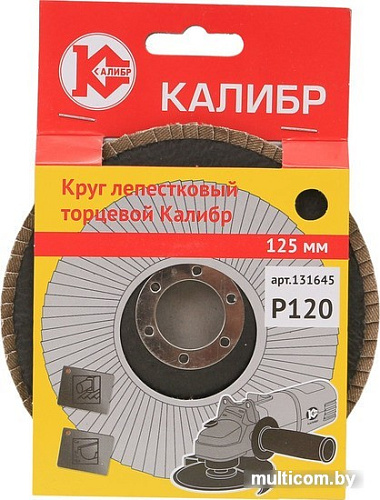 Шлифовальный круг Калибр 131645
