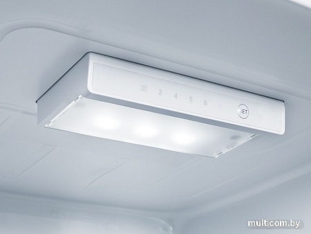 Холодильник CHiQ CBM317NW