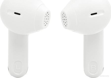 Наушники JBL Tune Flex 2 (белый)