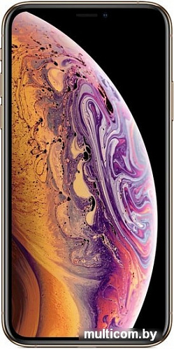 Смартфон Apple iPhone XS 512GB (золотистый)