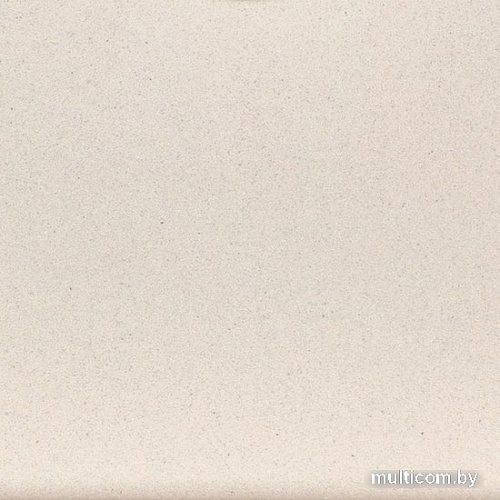 Кухонная мойка Wisent 510-30W (с сифоном GER013)