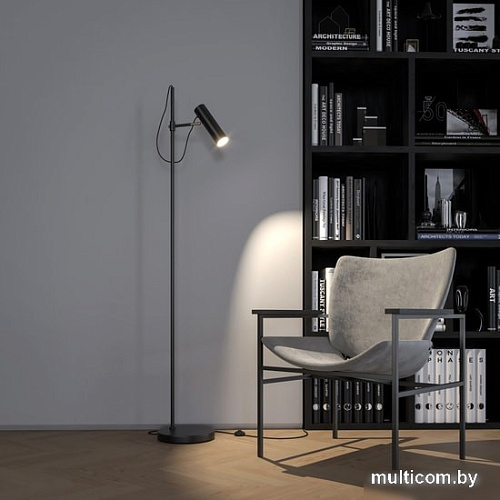 Торшер Maytoni Bansky MOD129FL-01B