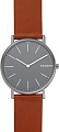 Наручные часы Skagen SKW6429