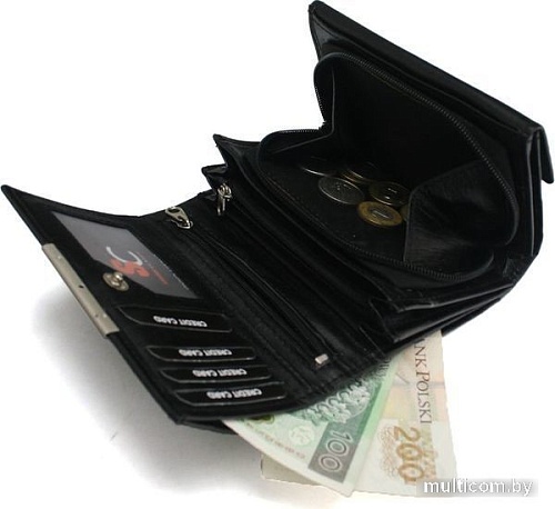 Кошелек Sanchez Casual AD-102R-068 (черный)