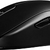 Игровая мышь BenQ Zowie FK1+-B (черный)