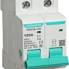 Выключатель нагрузки Tengen TGH1N-125, 2P, 32A, 2M TEN340012