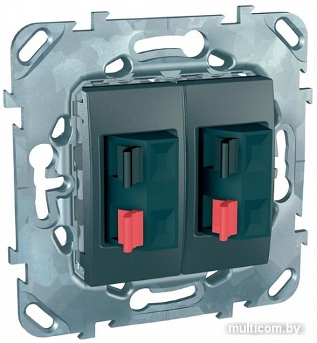 Розетка акустическая Schneider Electric Unica MGU5.8787.12ZD
