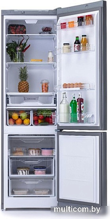 Холодильник Indesit DS 4200 G