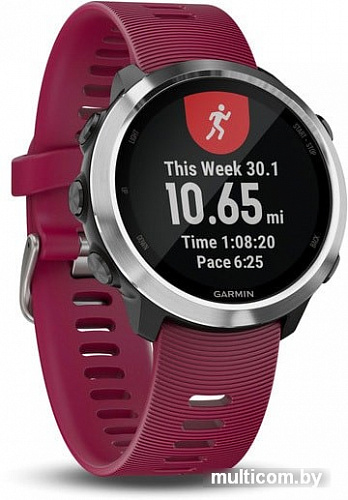 Умные часы Garmin Forerunner 645 Music (вишневый)