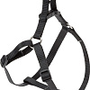 Шлея Ferplast Easy P XS 75558917 (черный)