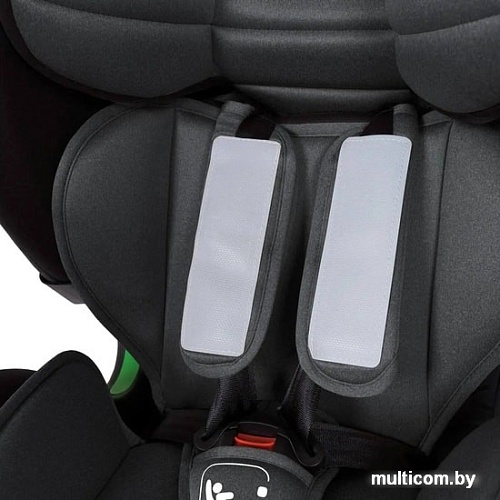 Детское автокресло Nuovita Maczione NiS3-1 (серый)