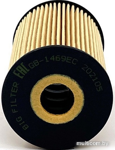 BIG Filter Вставки GB-1469EC