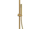 Душевая система Whitecross Y1254GLB (брашированное золото)