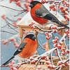 Алмазная мозаика Wizardi Красные снегири WD3043
