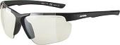 Солнцезащитные очки Alpina Defey HR A8657334 (черный)