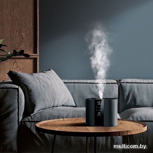 Увлажнитель воздуха Electrolux EHU-6110D