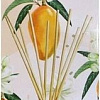 Areon Sticks Mango (50 мл)