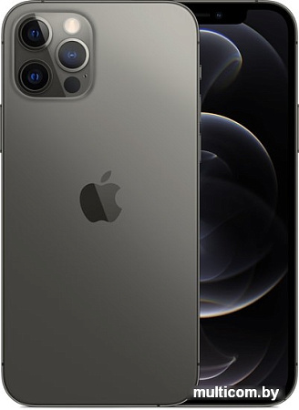 Смартфон Apple iPhone 12 Pro 512GB (графитовый)