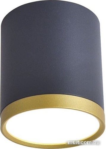 Точечный светильник Favourite 3081-1C