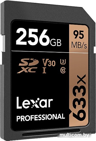 Карта памяти Lexar Professional 633x SDXC LSD256CB633 256GB