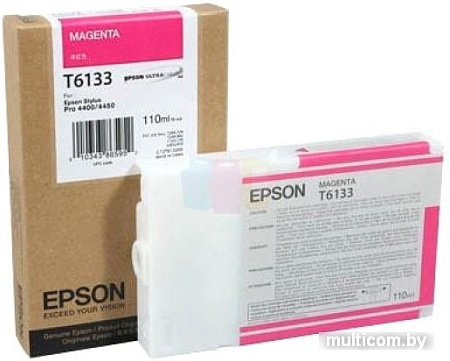 Картридж Epson C13T613300