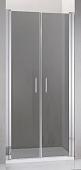 Душевая дверь Adema Nap Duo-100 (тонированное стекло)