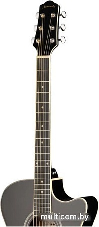Акустическая гитара Naranda DG220CBK