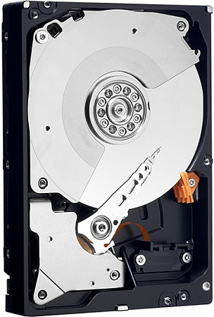 Жесткий диск WD RE4 1 Тб (WD1003FBYX)