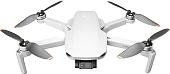 Квадрокоптер DJI Mini 2