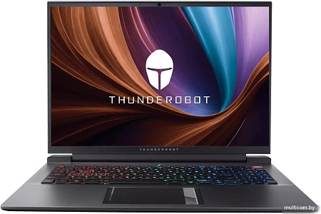 Игровой ноутбук Thunderobot Zero G4 Radiant JT009V00FRU