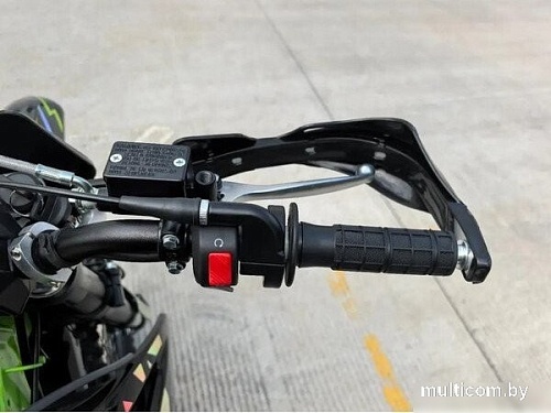 Мотоцикл AVM BisonX 300 (зеленый)