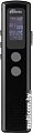 Диктофон Ritmix RR-120 8GB (черный)