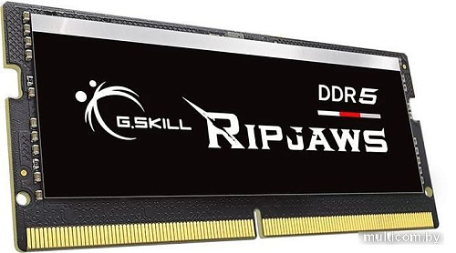 Оперативная память G.Skill Ripjaws 16ГБ DDR5 SODIMM 4800МГц F5-4800S3838A16GX1-RS