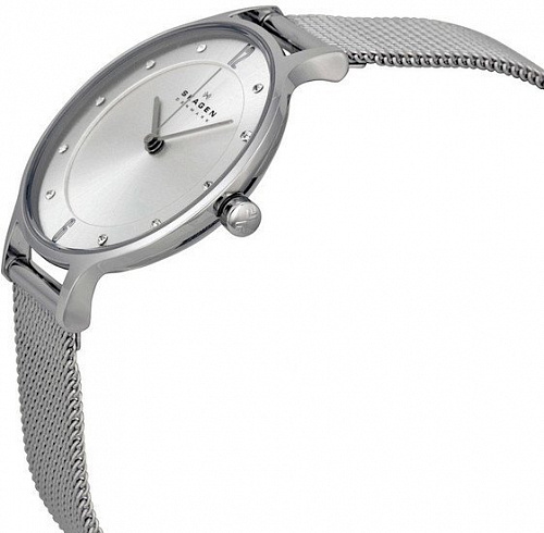 Наручные часы Skagen SKW2149