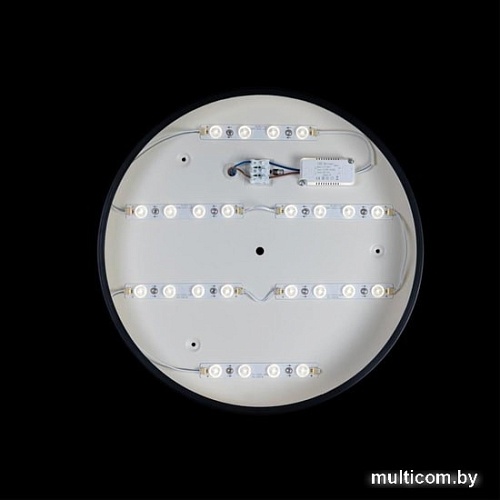 Люстра-тарелка LOFT IT Axel 10002/24 Black