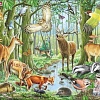 Мозаика/пазл Larsen Европейский лес FH17