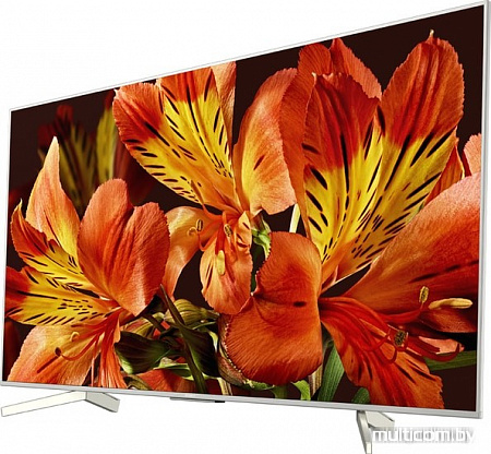 Телевизор Sony KD-65XF8577