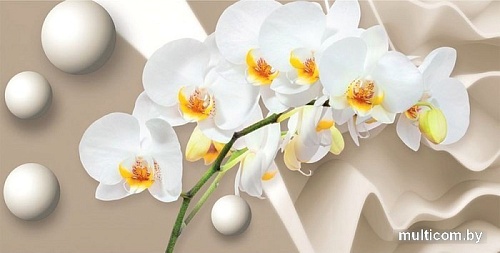 Фотообои Citydecor Цветочный декор 6 3D 500x254