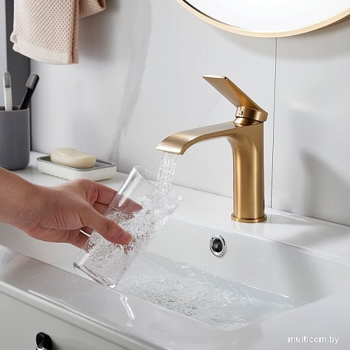 Смеситель Shevanik S4101G