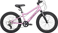 Детский велосипед Maxiscoo 5bike 20 L200 2025 MSC-M5-2013 (розовый сапфир)