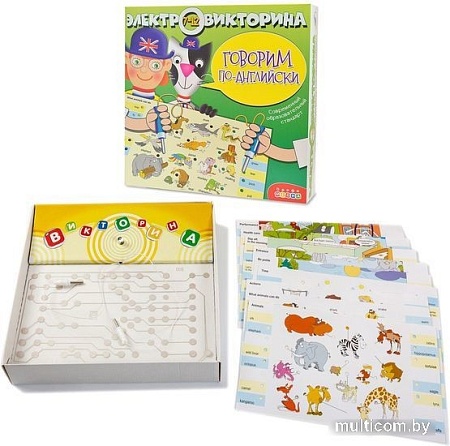 Развивающая игра Дрофа-Медиа Говорим по-английски 1035