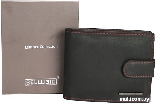 Кошелек Bellugio AM-24-035