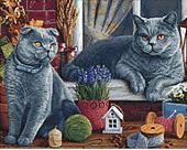 Алмазная мозаика Wizardi Британские котики WD2483