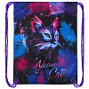 BRAUBERG Premium. Neon Cat 271621