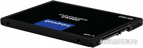 SSD GOODRAM CX400 gen.2 256GB SSDPR-CX400-256-G2