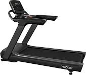 Электрическая беговая дорожка Bronze Gym T900M